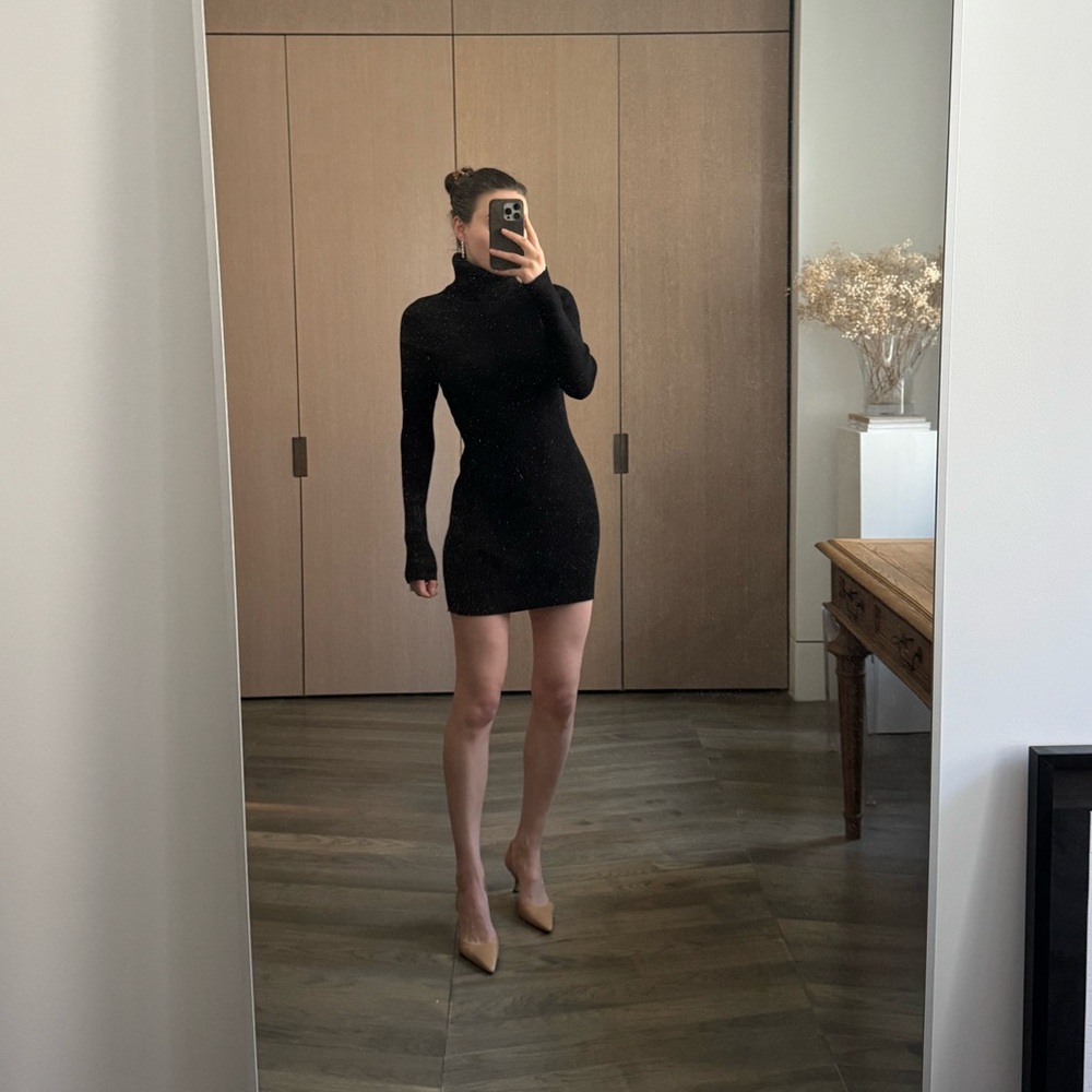 Babaton knit turtleneck mini dress